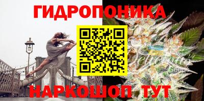 молекула духа Кимры